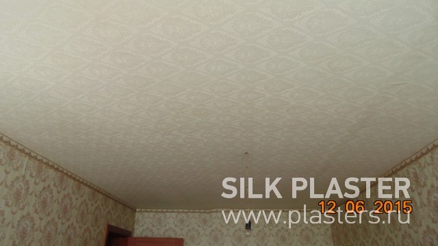Promo_SILK_ PLASTER_2015_ 2.jpg Promo_SILK_ PLASTER_2015_ 2.jpg